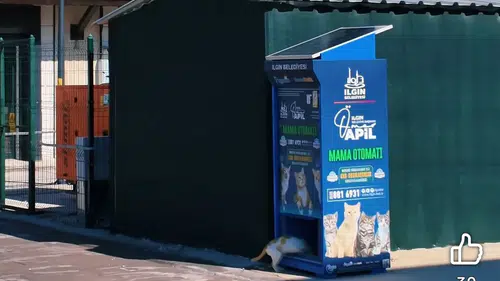 Konya'da can dostlar için müjde: Güneş enerjisi ile çalışan mamamatik devrede!