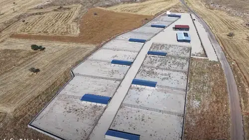 Konya'da can dostlar için yeni tesis! Hayvan barınağı hizmete hazır!