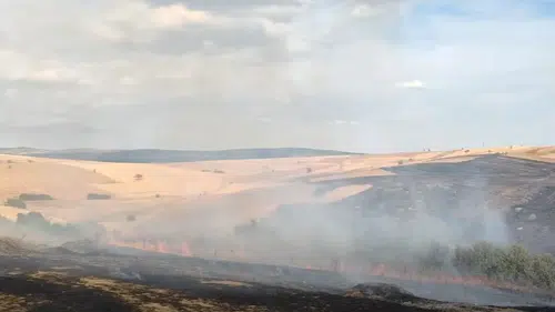 Konya’da orman yangını: Alevler ormana sıçradı!