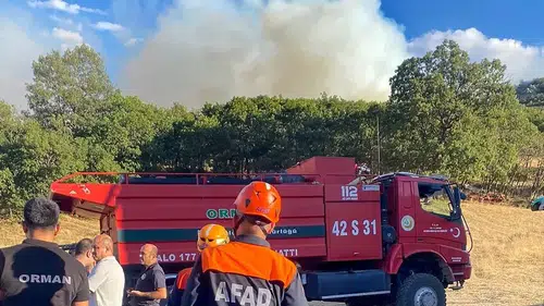 Konya'da çıkan orman yangını kontrol altına alındı