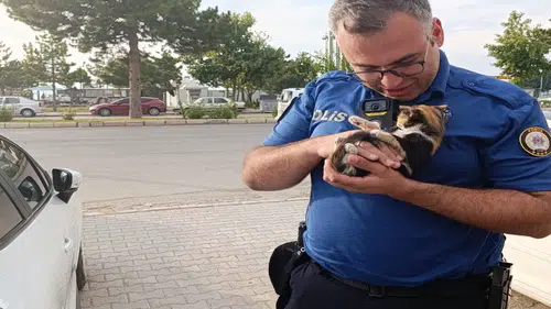 Konya'da otomobilin motor bölümüne giren kedi polis ekiplerince kurtarıldı