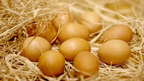 Yumurta fiyatlarında şaşırtan tablo! Üretici de tüketici de dertli