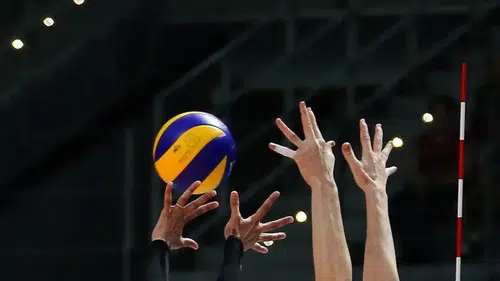 Fenerbahçe Kadın Voleybol Takımı, yarın Igor Gorgonzola'yı ağırlayacak