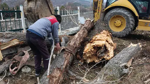 Konya'yı fırtına vurdu, ağaçlar yollara savruldu!