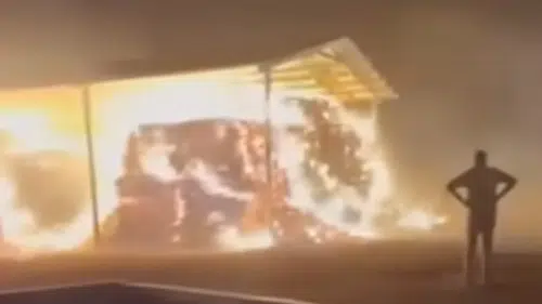 Konya'da feci yangın: Rüzgarın etkisiyle büyüdü!