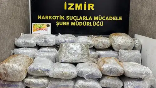 Otomobilden 65 kilo skunk çıktı
