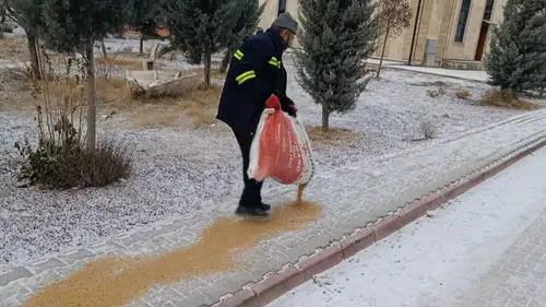 Konya'da sokak hayvanları yalnız değil