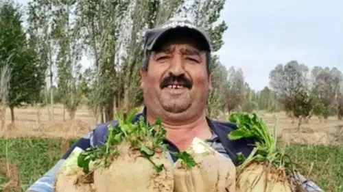 Yeğeninin eski eşi tarafından tabancayla öldürüldü