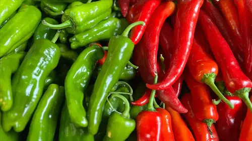 Batı Akdeniz'in ihracat şampiyonu biber oldu