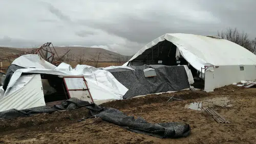 Şiddetli hava Konya ilçesini vurdu, çiftçi büyük zarar gördü!