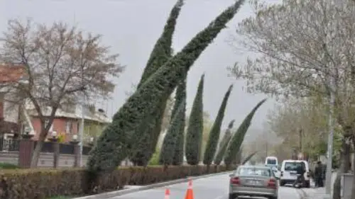 Konya'da bugün lodos etkili olacak: O saate dikkat!