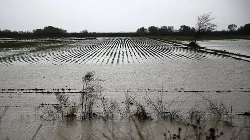 Konyalı çiftçinin beklediği açıklama geldi: O tarihe dikkat!