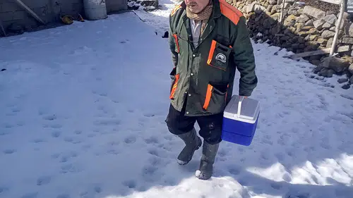 Meram’da hayvan sağlığı için zorlu hava şartlarında seferberlik!