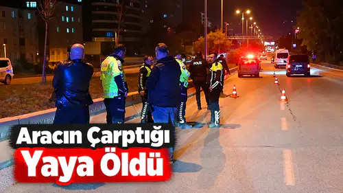 Aracın çarptığı yaya öldü