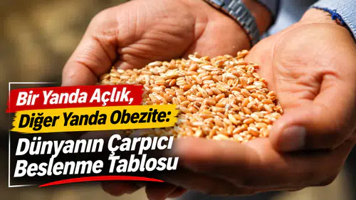 Bir Yanda Açlık, Diğer Yanda Obezite: Dünyanın Çarpıcı Beslenme Tablosu