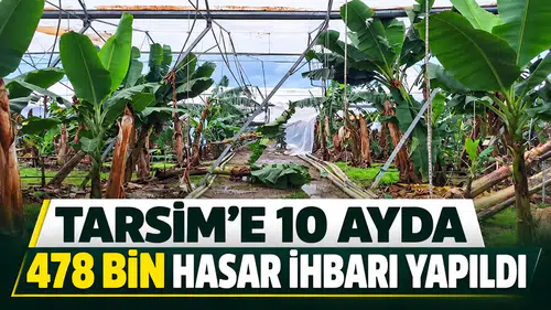 TARSİM'e 10 ayda 478 bin hasar ihbarı yapıldı
