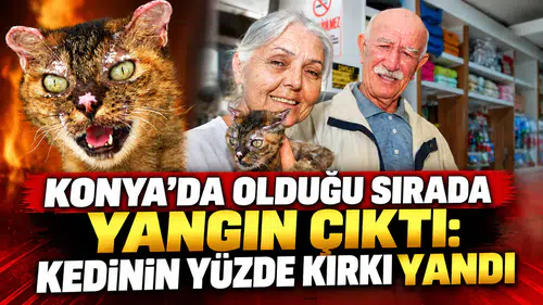 Konya’da olduğu sırada yangın çıktı: Kedinin yüzde kırkı yandı