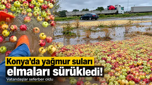 Konya’da yağmur suları elmaları sürükledi! Vatandaşlar seferber oldu