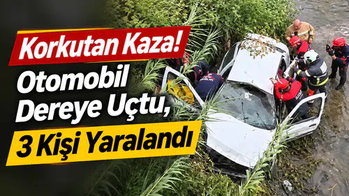 Korkutan Kaza! Otomobil Dereye Uçtu, 3 Kişi Yaralandı