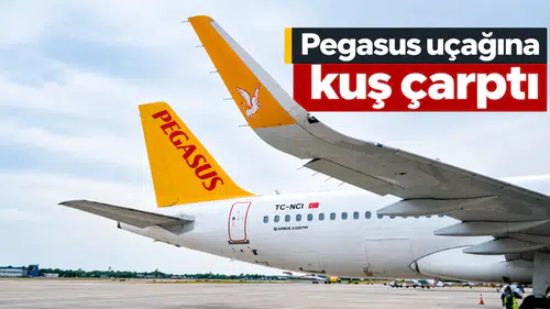 Pegasus uçağına kuş çarptı