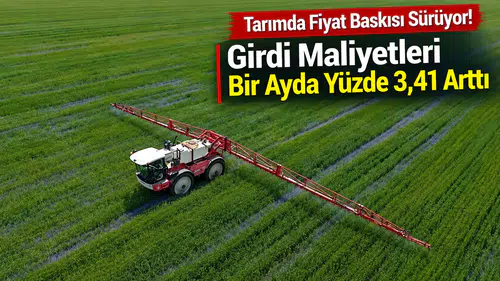 Tarımda Fiyat Baskısı Sürüyor! Girdi Maliyetleri Bir Ayda Yüzde 3,41 Arttı