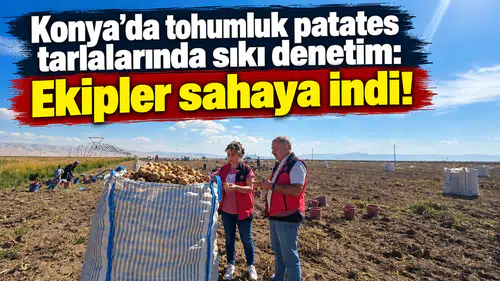 Konya’da tohumluk patates tarlalarında sıkı denetim: Ekipler sahaya indi!