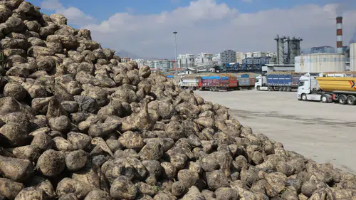 Konya Şeker’den üreticiye dev ödeme