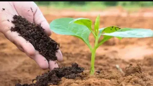 Konya için kritik gübre uyarısı: Daha erken!