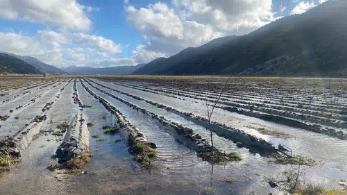 Konya'da sel sonrası hasar tespit seferberliği başladı