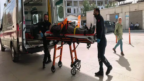 Budadığı ceviz ağacından düşüp yaralandı