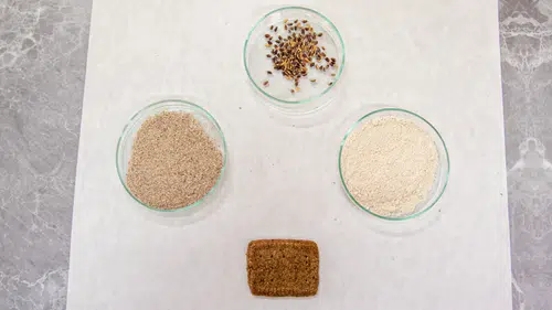 Selçuk Üniversitesi'nde renkli buğdaylardan bisküvi üretildi