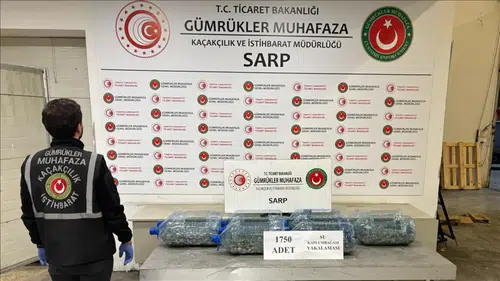 Kaçak girişim kapsamında 85 binden fazla canlı hayvan ele geçirdi