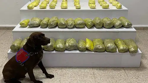 Jandarma tarafından düzenlenen operasyonlarda 42 kilo uyuşturucu ele geçirildi