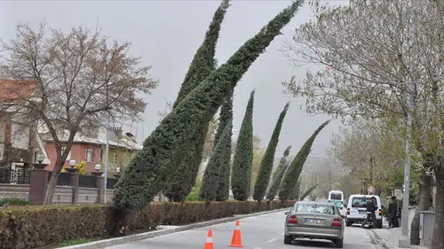 Güneşe aldanmayın! Konya için kar ve fırtına uyarısı geldi!