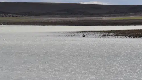 Konya'daki Küçük Göl 4 yıl aradan sonra su tutmaya başladı