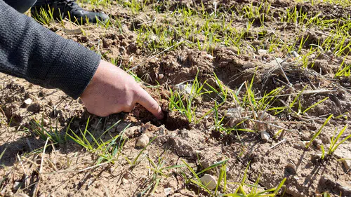 Tarladan sofraya kesintisiz takip! Konya’da üretim sahada başlıyor!