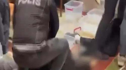 Operasyonlarda 284 kilogram uyuşturucu ele geçirildi: 3 gözaltı