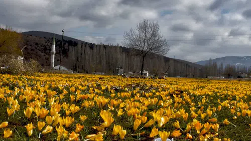 Konya’nın saklı cenneti: Bartlı yaylası kartpostallık görüntüler sunuyor