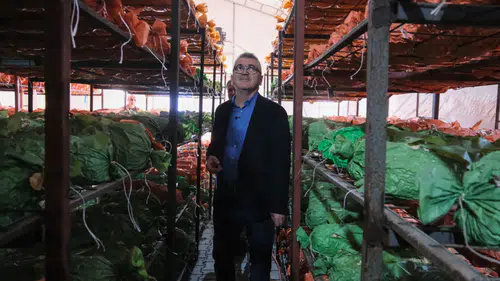 Rüzgardan serası zarar gören üreticiye Başkan Ustaoğlu’ndan ziyaret