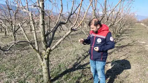 Konya'da eken baharda meyve bahçeleri denetlendi