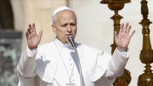 Papa 14. Leo: Ateşi kesin