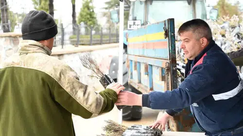 Konya'da mezarlıkta ücretsiz lavanta dağıtıldı!