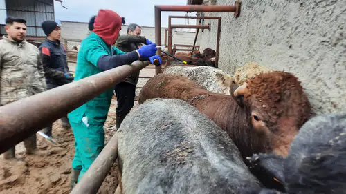 Konya'da karantina kontrolleri artırıldı