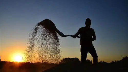 Çiftçilere tarımsal destekleme ödemesi bugün yapılacak
