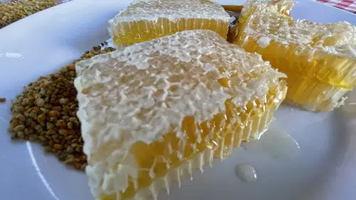 Yenice ıhlamur balı markalaşıyor