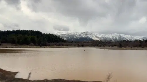 Konya'da kuraklığın ardından gelen yağışlarla toprak suya doydu