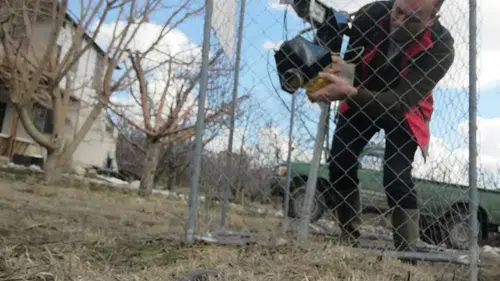 Konya'da zararlının popülasyonu anlık olarak takip ediliyor!