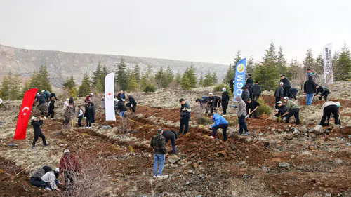 Konya'da 10 bin fidan toprakla buluşturuldu