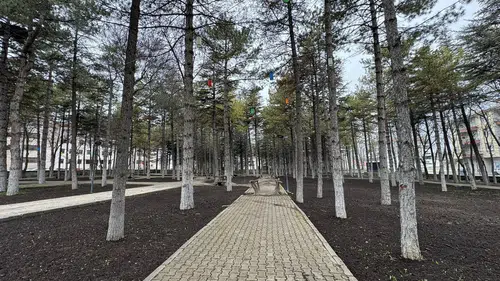 Konya'ya Olof Palme Parkı müjdesi: Son dokunuşlar yapılıyor!