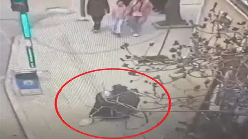 Dilencilik bahanesiyle çantanın kulpunu kesip cüzdan yağmalayan şüpheli tutuklandı